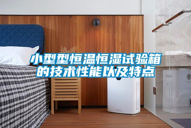 小型型恒溫恒濕試驗箱的技術性能以及特點