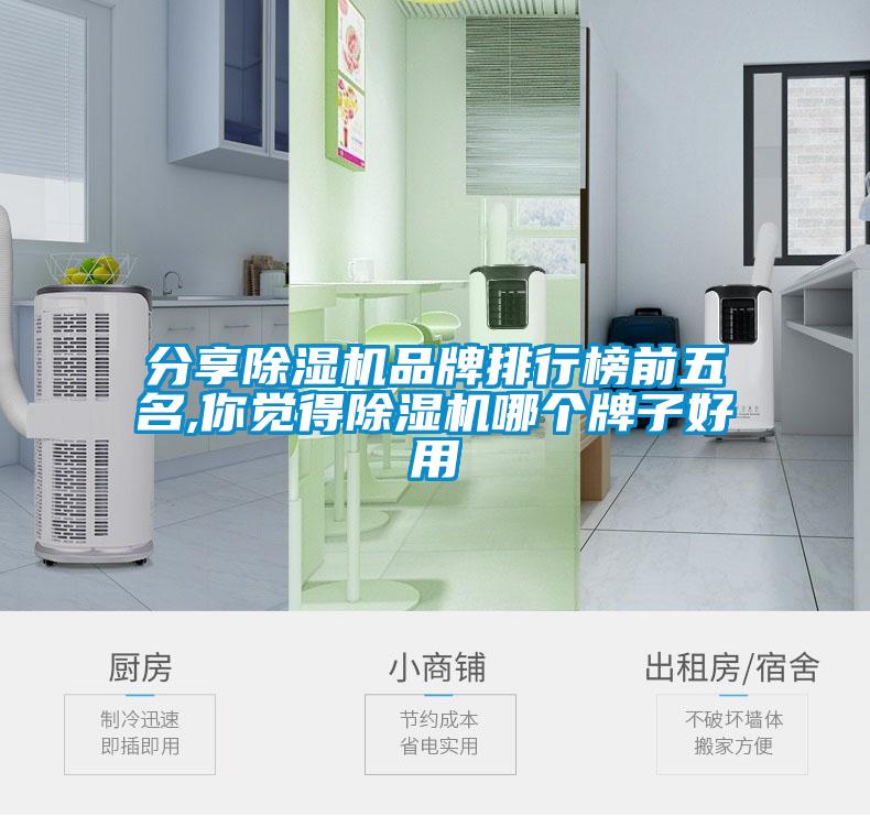 分享除濕機(jī)品牌排行榜前五名,你覺得除濕機(jī)哪個(gè)牌子好用