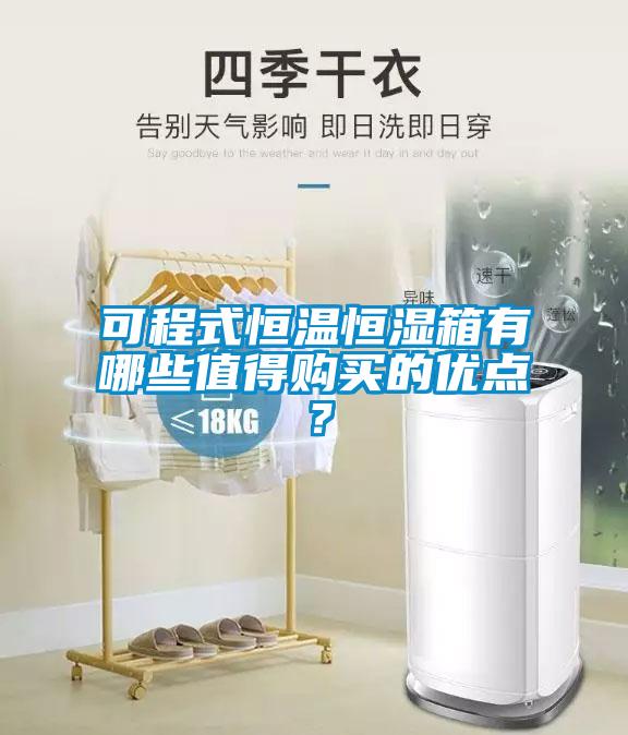 可程式恒溫恒濕箱有哪些值得購買的優(yōu)點(diǎn)？