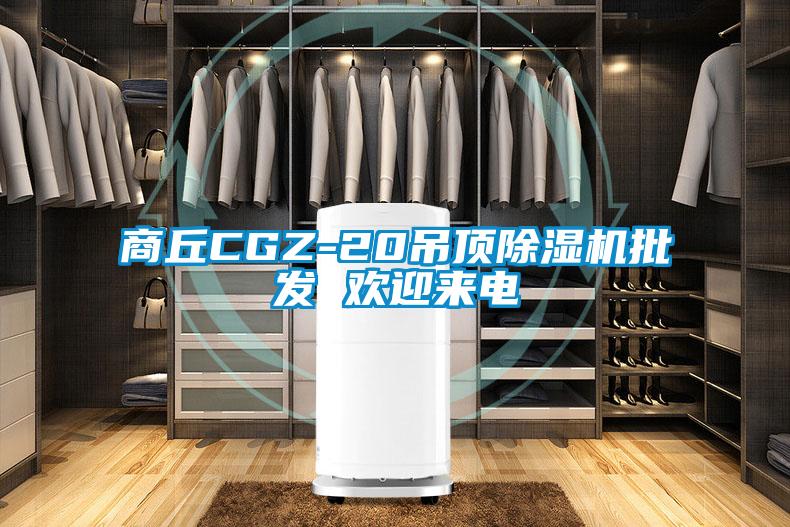 商丘CGZ-20吊頂除濕機(jī)批發(fā) 歡迎來電
