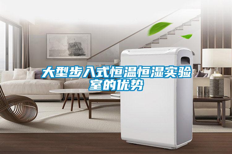 大型步入式恒溫恒濕實(shí)驗(yàn)室的優(yōu)勢