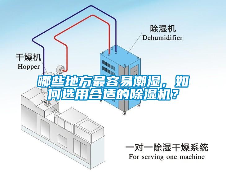 哪些地方最容易潮濕，如何選用合適的除濕機(jī)？