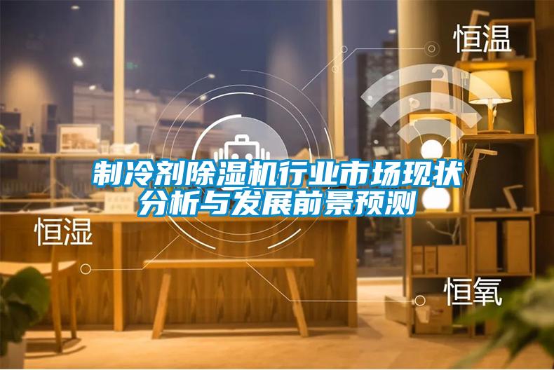 制冷劑除濕機行業(yè)市場現(xiàn)狀分析與發(fā)展前景預(yù)測