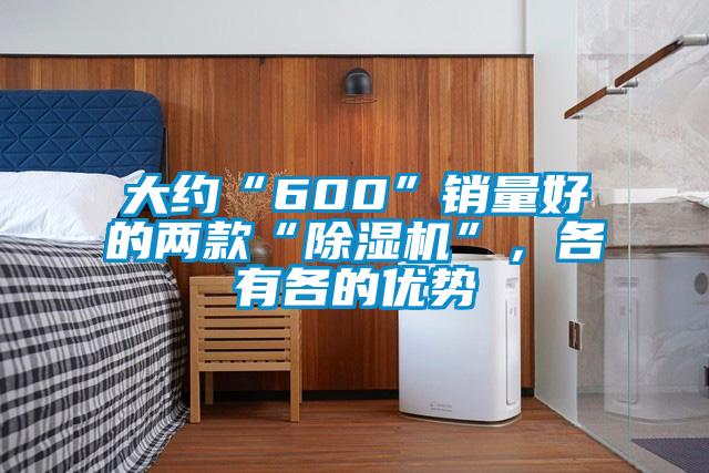 大約“600”銷量好的兩款“除濕機”，各有各的優(yōu)勢
