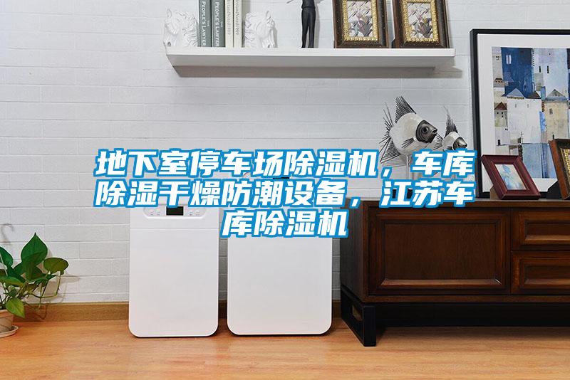 地下室停車場除濕機(jī)，車庫除濕干燥防潮設(shè)備，江蘇車庫除濕機(jī)