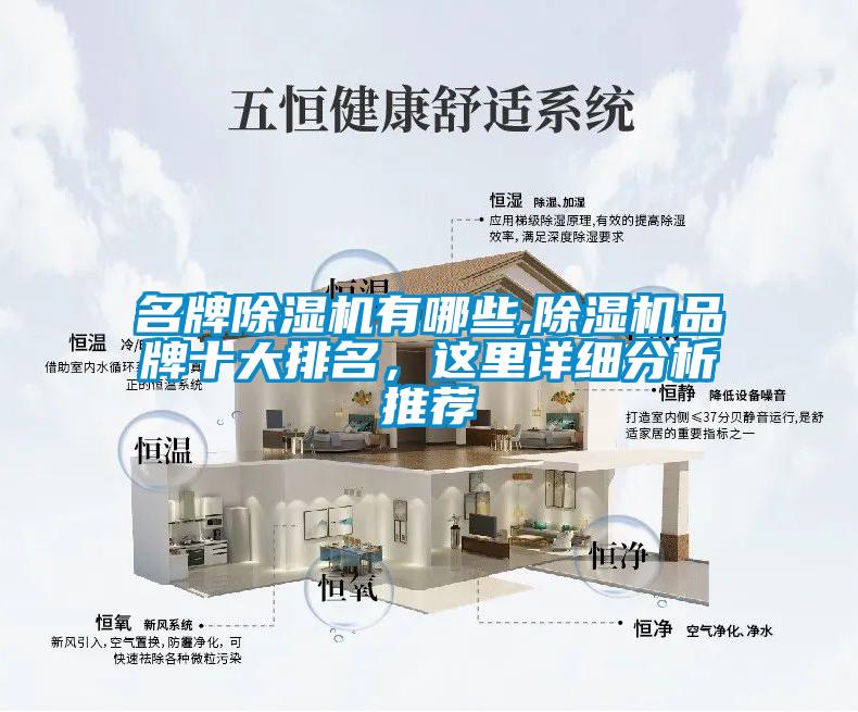 名牌除濕機(jī)有哪些,除濕機(jī)品牌十大排名，這里詳細(xì)分析推薦