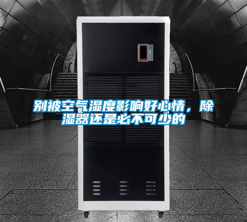 別被空氣濕度影響好心情，除濕器還是必不可少的
