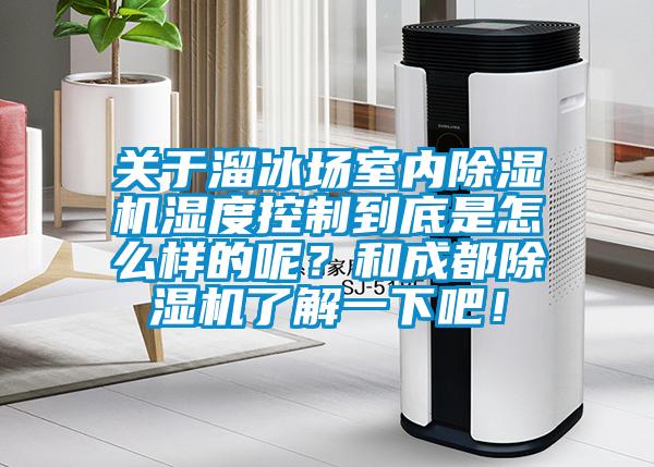 關于溜冰場室內除濕機濕度控制到底是怎么樣的呢？和成都除濕機了解一下吧！