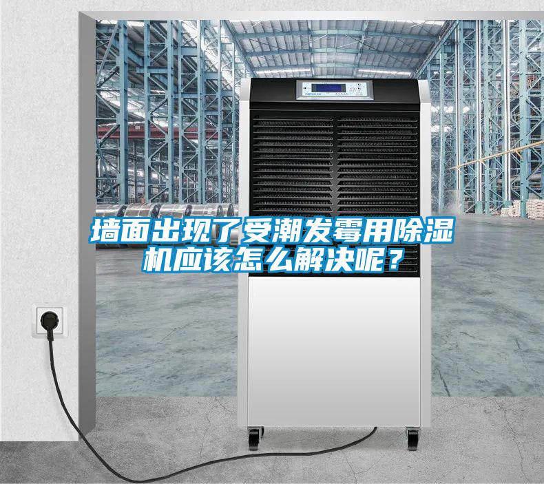 墻面出現(xiàn)了受潮發(fā)霉用除濕機應該怎么解決呢？