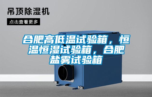 合肥高低溫試驗(yàn)箱，恒溫恒濕試驗(yàn)箱，合肥鹽霧試驗(yàn)箱