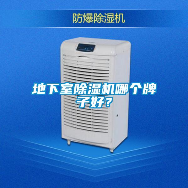 地下室除濕機哪個牌子好？