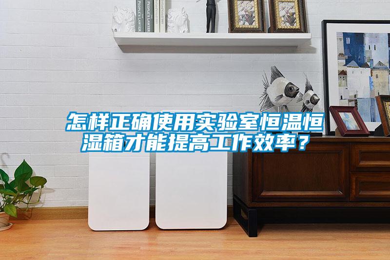 怎樣正確使用實(shí)驗(yàn)室恒溫恒濕箱才能提高工作效率？