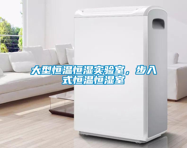 大型恒溫恒濕實(shí)驗(yàn)室，步入式恒溫恒濕室