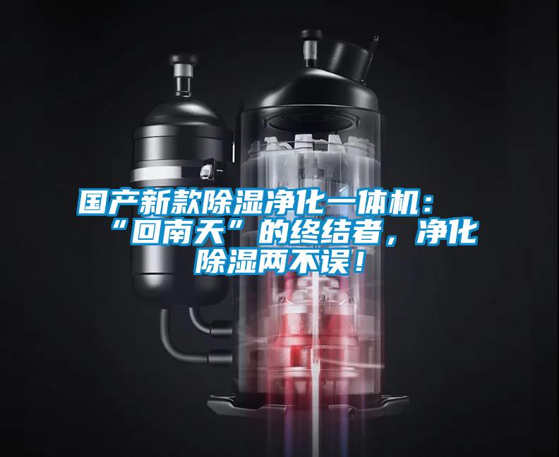 國(guó)產(chǎn)新款除濕凈化一體機(jī)：“回南天”的終結(jié)者，凈化除濕兩不誤！