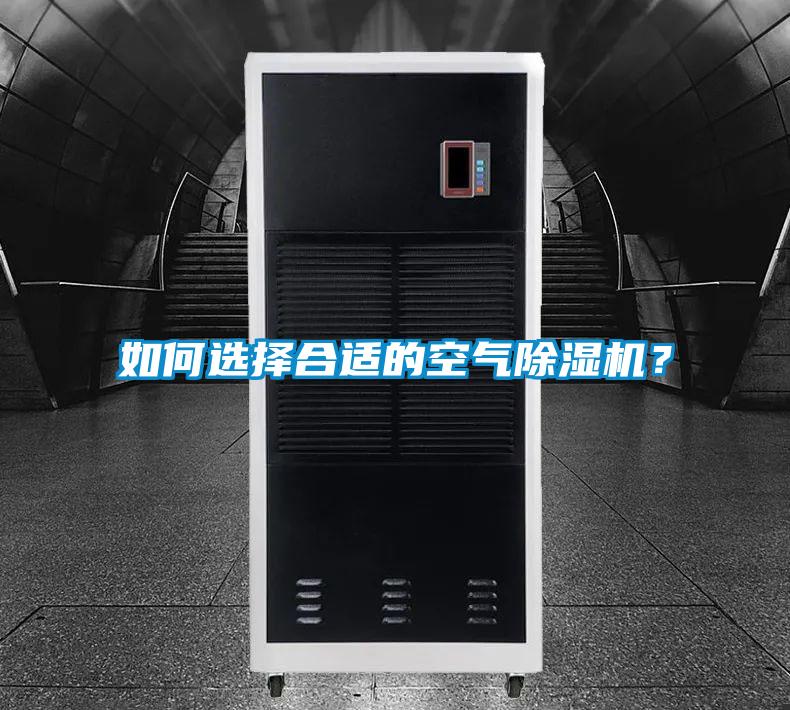 如何選擇合適的空氣除濕機？
