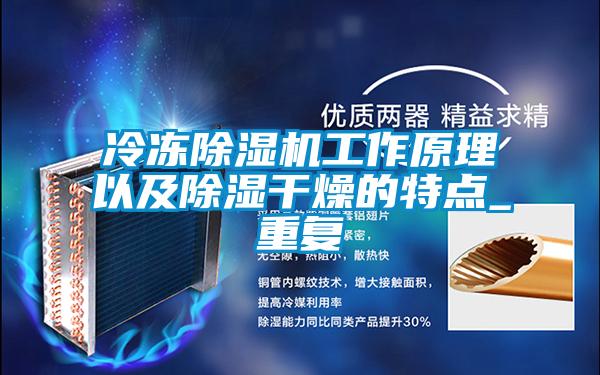 冷凍除濕機工作原理以及除濕干燥的特點_重復(fù)