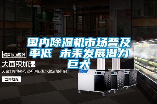 國(guó)內(nèi)除濕機(jī)市場(chǎng)普及率低 未來發(fā)展?jié)摿薮?></div>
								<div   id=