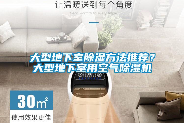 大型地下室除濕方法推薦？大型地下室用空氣除濕機