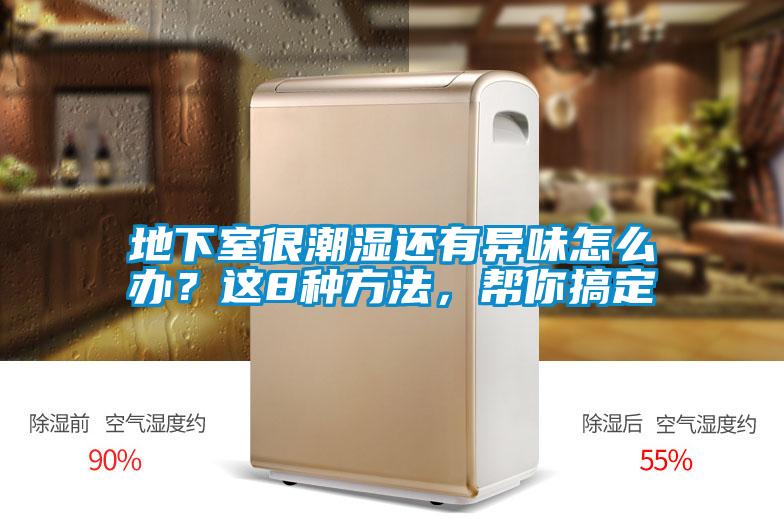 地下室很潮濕還有異味怎么辦？這8種方法，幫你搞定