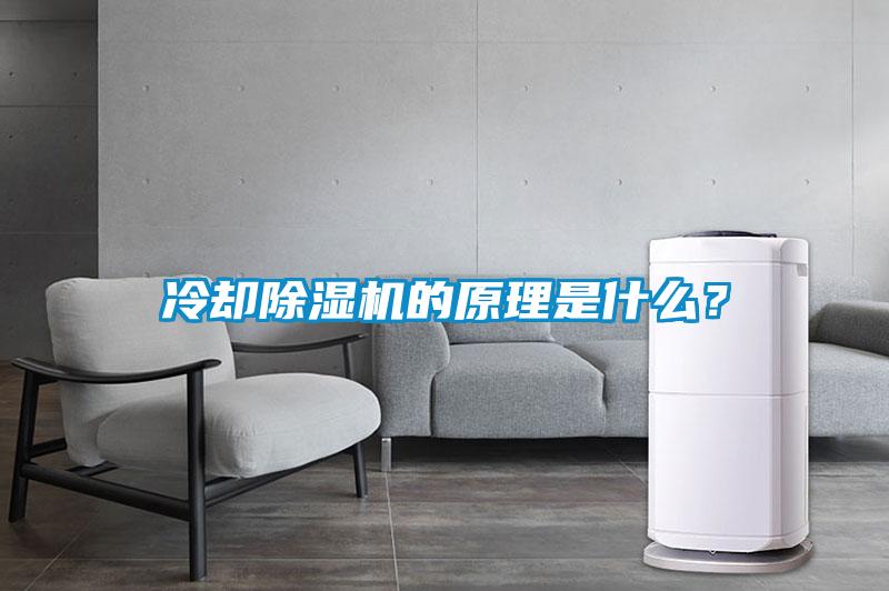冷卻除濕機的原理是什么？