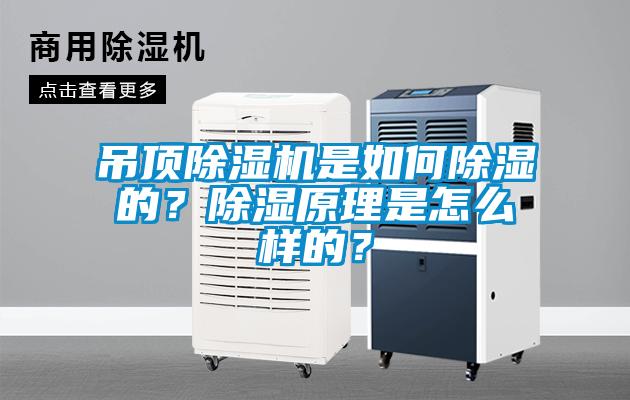 吊頂除濕機是如何除濕的？除濕原理是怎么樣的？