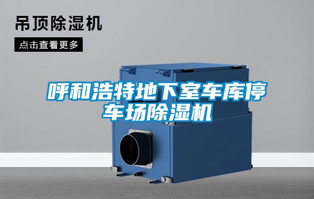 呼和浩特地下室車庫停車場除濕機(jī)