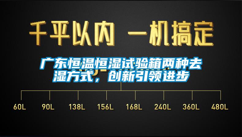 廣東恒溫恒濕試驗(yàn)箱兩種去濕方式，創(chuàng)新引領(lǐng)進(jìn)步