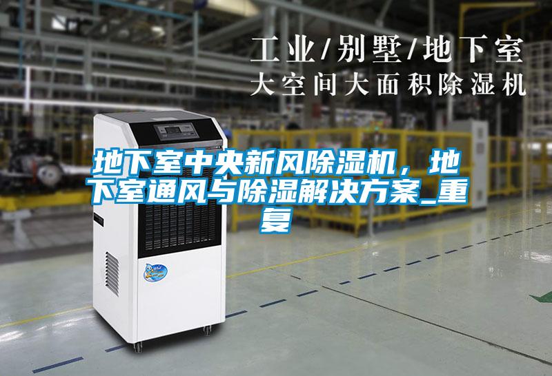 地下室中央新風除濕機，地下室通風與除濕解決方案_重復