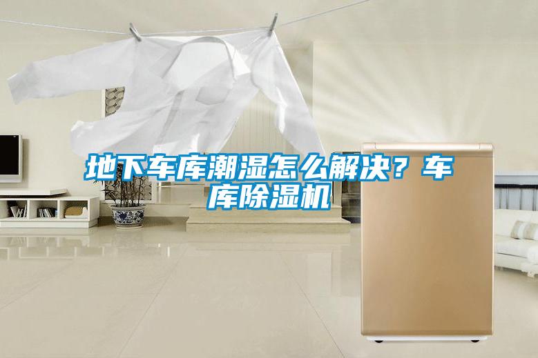 地下車庫(kù)潮濕怎么解決？車庫(kù)除濕機(jī)