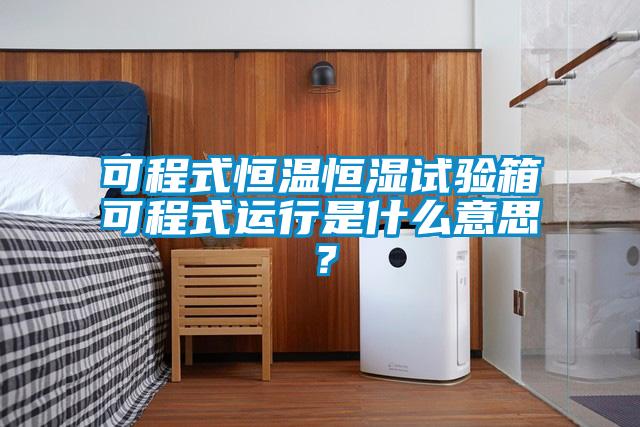 可程式恒溫恒濕試驗箱可程式運(yùn)行是什么意思？