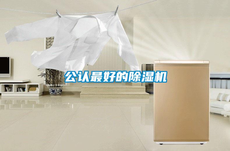 公認(rèn)最好的除濕機