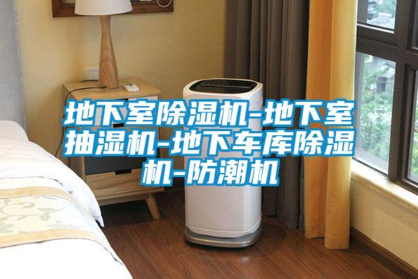 地下室除濕機(jī)-地下室抽濕機(jī)-地下車(chē)庫(kù)除濕機(jī)-防潮機(jī)