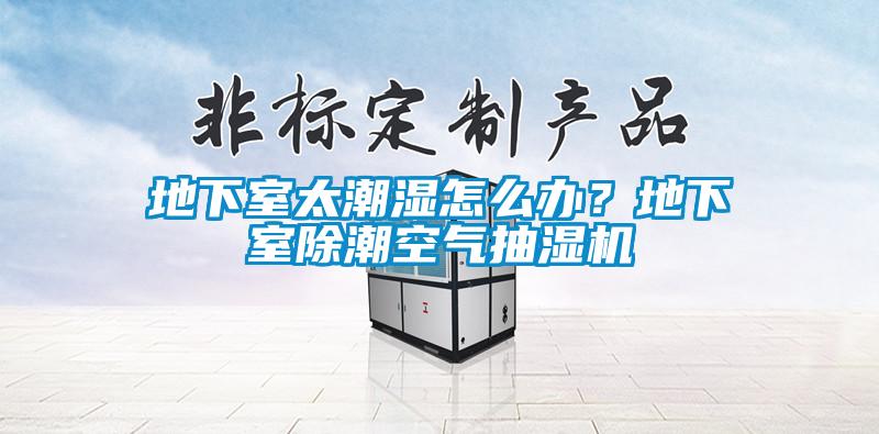 地下室太潮濕怎么辦？地下室除潮空氣抽濕機