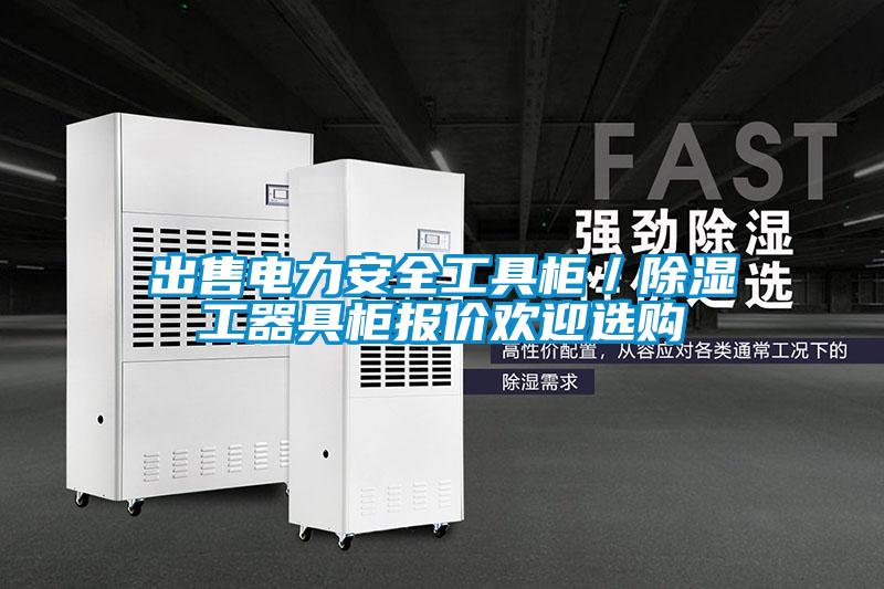 出售電力安全工具柜／除濕工器具柜報(bào)價(jià)歡迎選購