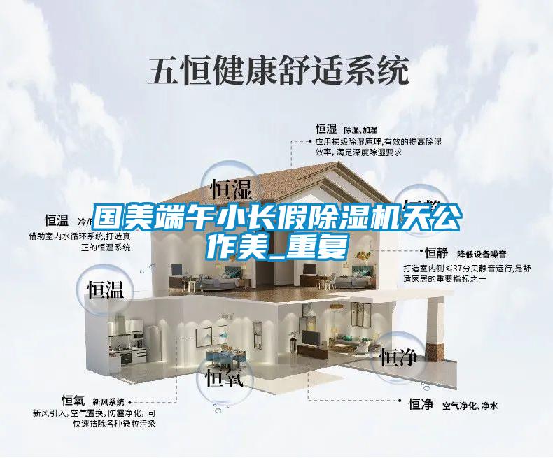 國美端午小長假除濕機天公作美_重復(fù)