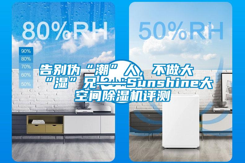 告別偽“潮”人，不做大“濕”兄——Sunshine大空間除濕機(jī)評測