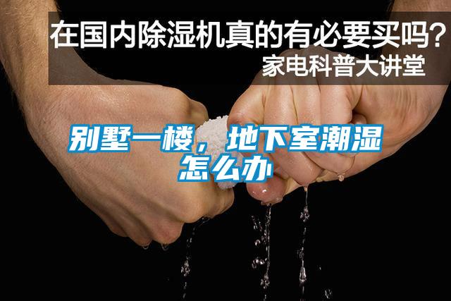 別墅一樓，地下室潮濕怎么辦