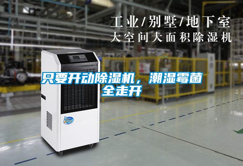 只要開動(dòng)除濕機(jī)，潮濕霉菌全走開