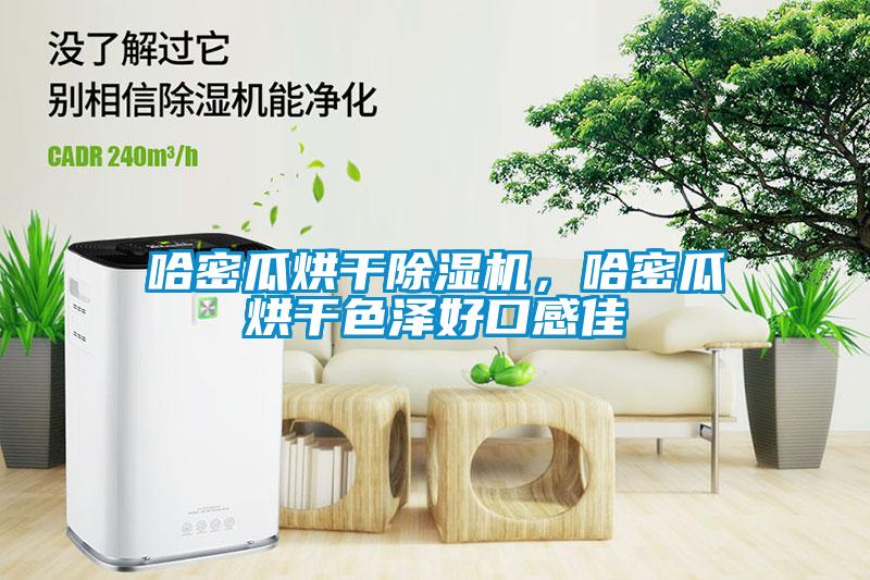 哈密瓜烘干除濕機(jī)，哈密瓜烘干色澤好口感佳