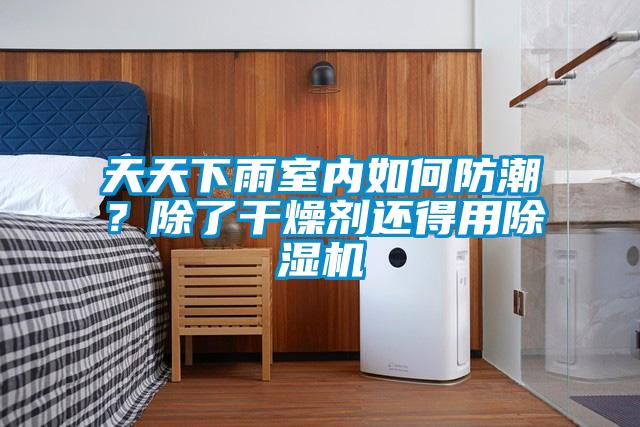 天天下雨室內(nèi)如何防潮？除了干燥劑還得用除濕機(jī)