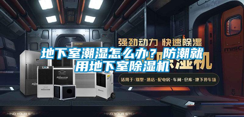 地下室潮濕怎么辦？防潮就用地下室除濕機(jī)