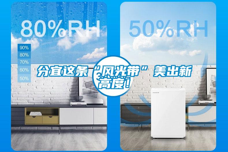 分宜這條“風(fēng)光帶”美出新高度！