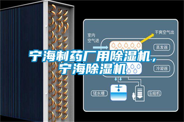 寧海制藥廠用除濕機(jī)，寧海除濕機(jī)