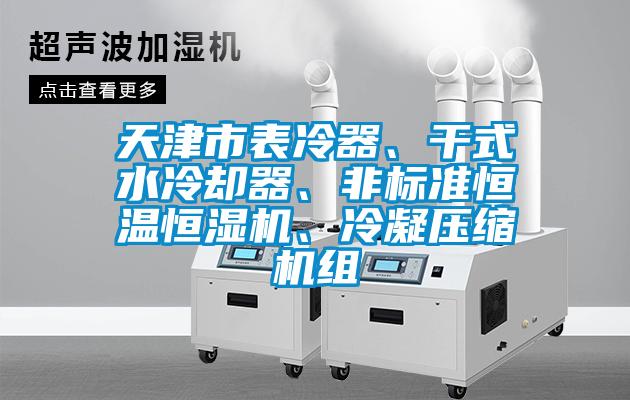 天津市表冷器、干式水冷卻器、非標(biāo)準(zhǔn)恒溫恒濕機(jī)、冷凝壓縮機(jī)組