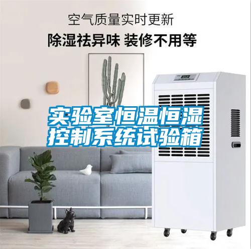 實驗室恒溫恒濕控制系統試驗箱