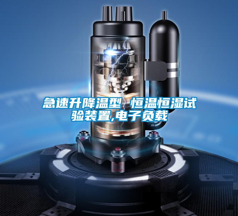 急速升降溫型 恒溫恒濕試驗裝置,電子負載