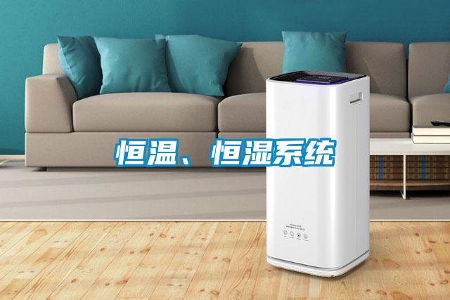 恒溫、恒濕系統(tǒng)