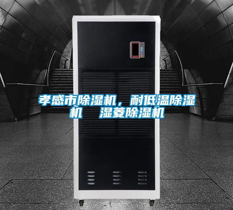 孝感市除濕機(jī)，耐低溫除濕機(jī)  濕菱除濕機(jī)
