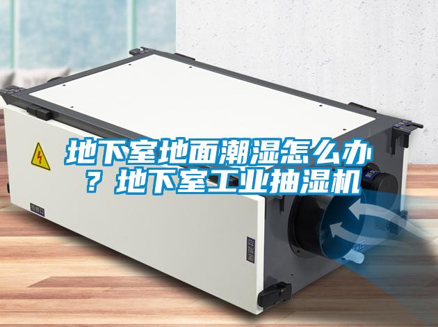 地下室地面潮濕怎么辦？地下室工業(yè)抽濕機