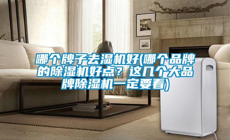 哪個(gè)牌子去濕機(jī)好(哪個(gè)品牌的除濕機(jī)好點(diǎn)？這幾個(gè)大品牌除濕機(jī)一定要看)